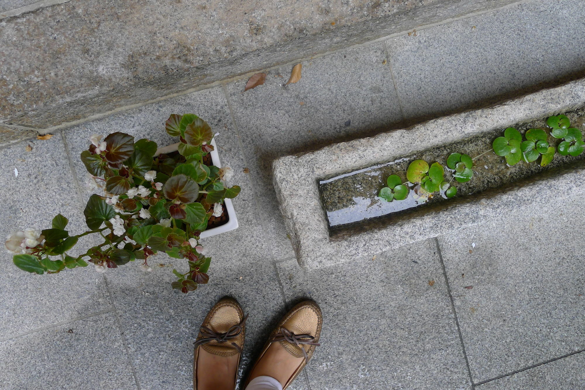 Xiwoo Hanok Guesthouse Seul Zewnętrze zdjęcie